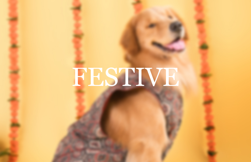 Organic Cotton Pet Harness